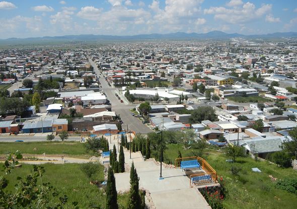 Chihuahua Cuauhtémoc