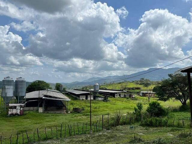 Zona Agrícola La Esperanza